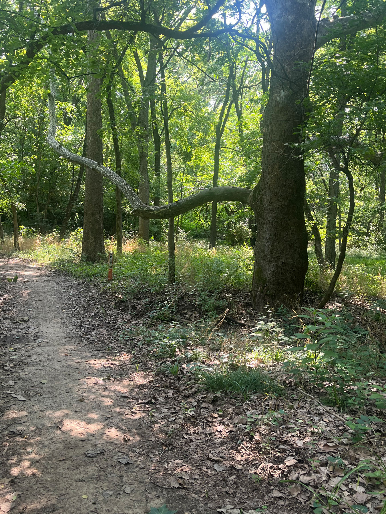 FTHub Nature Connection Specialist Training