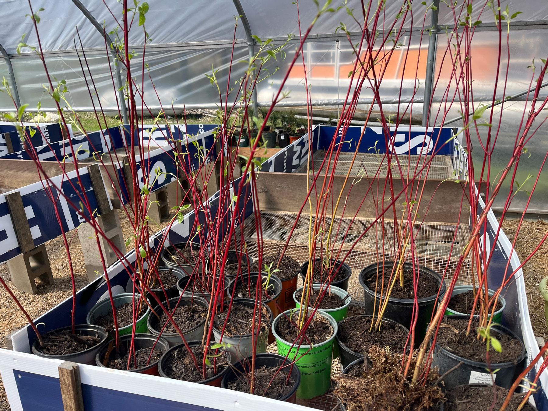 Outdoor Skills Acquisition